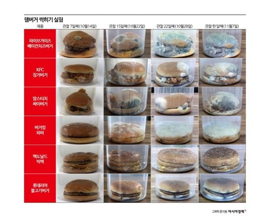  Foto zu 31일간 '빅맥'만 썩지 않았다…햄버거 회사가 답한 그 이유[햄버거 썩히기]④ : 네이트 뉴스 