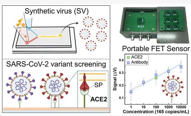Researchers develop rapid biosensor capable of on-site screening of all ...