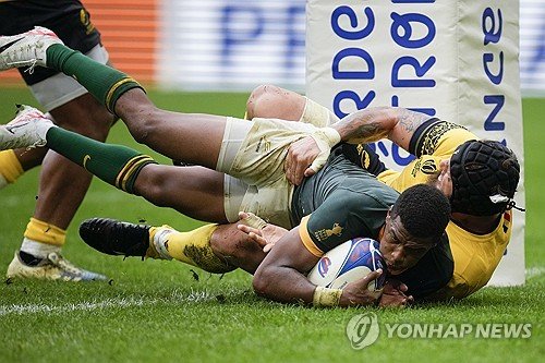 Rugby RWC South Africa Romania : 네이트 뉴스