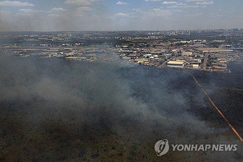 Brazil Fires : 네이트 뉴스