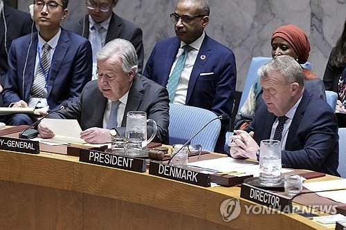 UN Securty Council Denmark : 네이트 뉴스