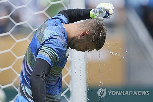 CWC Real Madrid CF Pachuca Soccer : 네이트 뉴스