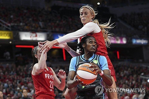 Dream Fever Basketball : 네이트 뉴스