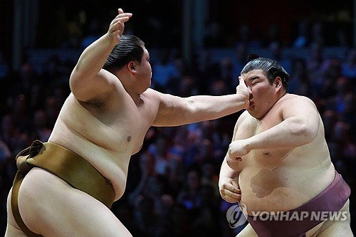 Britain Grand Sumo : 네이트 뉴스