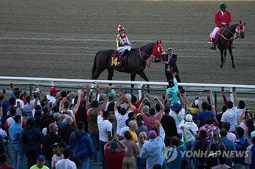 Venezuela Horse Race : 네이트 뉴스