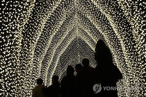 Botanical Garden Holiday Lights : 네이트 뉴스