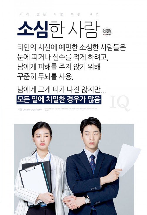 [카드뉴스] 고양이 키우는 사람이 머리가 좋다?…'머리 좋은 사람 특징' : 네이트 뉴스