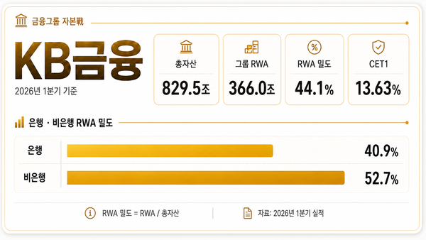 [금융그룹 자본戰]① KB 'RWA밀도' 44%…RoRWA 환원 전략은 : 네이트 뉴스