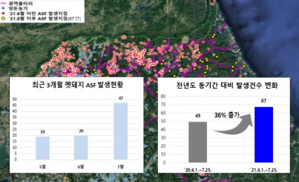 아프리카돼지열병과 시멘트 회사의 연결고리 '생석회' : 네이트 뉴스