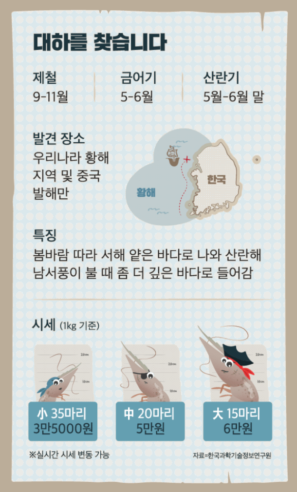 [비주얼 뉴스] 지금이 제일 맛있는 대하 : 네이트 뉴스