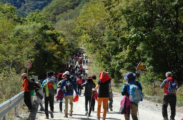 '청춘양구' 뱃살제로 건강걷기대회…29일 출발 : 네이트 뉴스