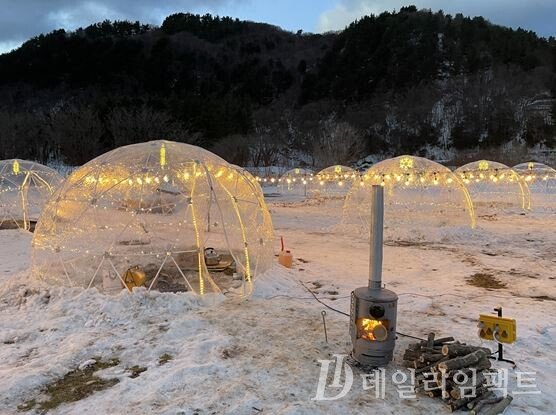 [현장컷] 두근두근 설레는 겨울 마법…설국으로 변한 울릉도 '나리분지' : 네이트 뉴스