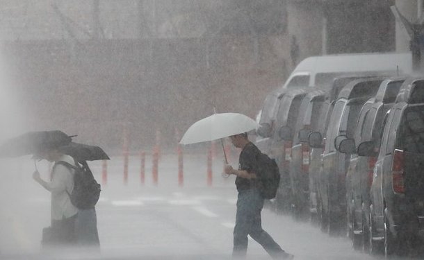 올여름 장마 언제 시작? 강수량부터 기간, 건강관리법까지 총정리 : 네이트 날씨