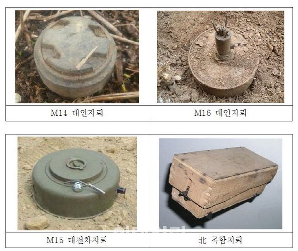 집중호우 뒤 하천·물곬 등 지뢰유실 주의해야 : 네이트 뉴스