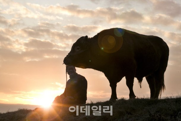 [포토]2021년 신축년 '새해 밝다' : 네이트 뉴스