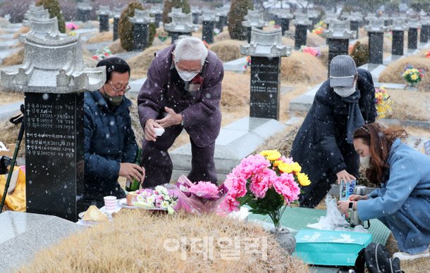 [포토]설 앞두고 이른 성묘 : 네이트 뉴스