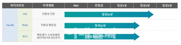 박셀바이오, 진행성 췌장암 치료제 2a상 임상 신청 : 네이트 뉴스