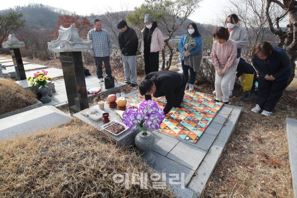 [포토]설 앞두고 온가족이 함께 성묘 : 네이트 뉴스