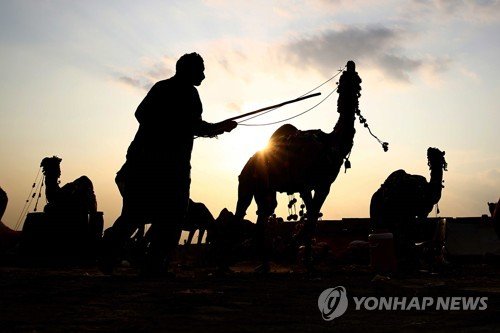 PAKISTAN BELIEF ISLAM EID AL A?DHA : 네이트 뉴스