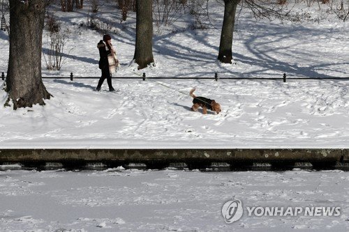 GERMANY COLD WEATHER : 네이트 뉴스