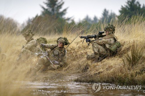 DENMARK DEFENCE MILITARY EXERCISE : 네이트 뉴스