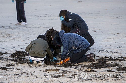 SPAIN SEA POLLUTION : 네이트 뉴스