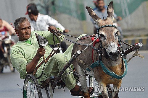 PAKISTAN DONKEY CART RACE : 네이트 뉴스