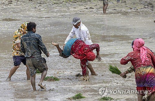 NEPAL NATONAL PADDY DAY : 네이트 뉴스