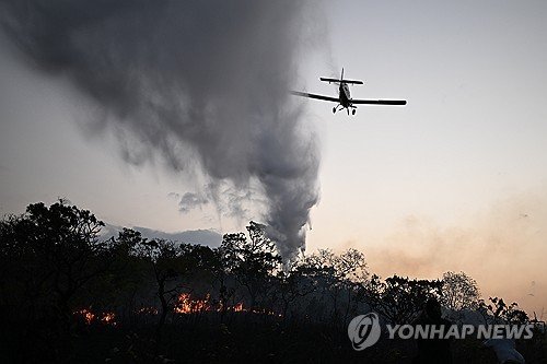 BRAZIL FIRES : 네이트 뉴스