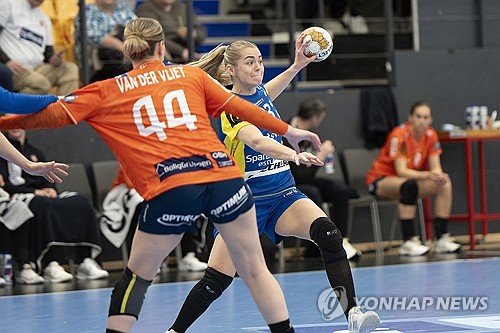 20250330-180224-L.jpg : 네이트 뉴스