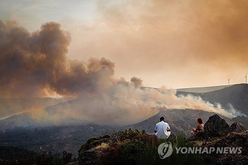 PORTUGAL VILA REAL FOREST FIRE : 네이트 뉴스