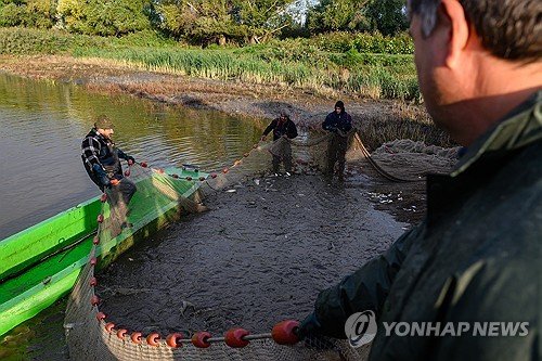 HUNGARY ECOLOGY : 네이트 뉴스