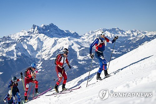 epaselect SWITZERLAND SKI MOUNTAINEERING : 네이트 뉴스