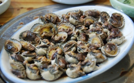 '생방송 투데이' 오늘방송맛집- 먹킷리스트, 참 맛있는 참꼬막 데침 맛집 '순 '…대박 비결은? : 네이트 연예
