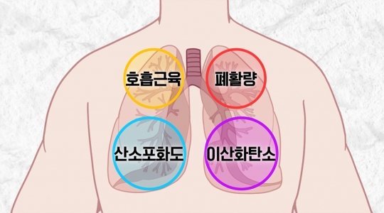 '명의' 강성웅 교수가 전하는 호흡재활의 모든 것 : 네이트 연예