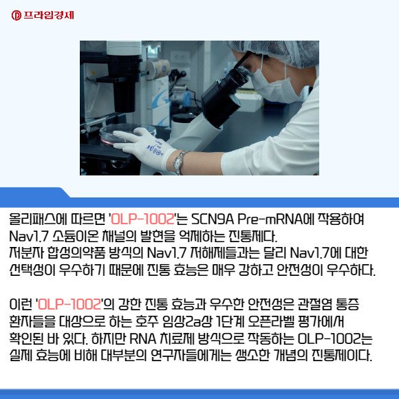 [카드] 올리패스, OLP-1002 호주 임상2a상 1단계 결과 포스터 발표 : 네이트 뉴스