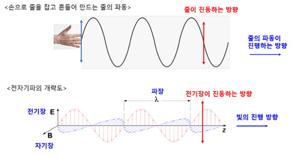 [고재현의 물리학으로의 초대] 비행시간 늘고…미세먼지 속에선 꿀벌도 괴롭다 : 네이트 뉴스