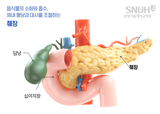 췌장암의 다양한 치료와 예후 [분당서울대병원이 알려주는 의료상식] : 네이트 뉴스