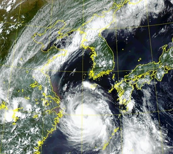 태풍 '바비' 북상에 서울도 태풍 예비특보…대책본부 가동 : 네이트 날씨