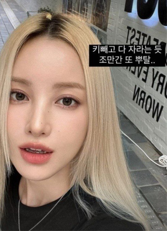 유깻잎, 윤곽 수술 후 엘프 등극…이국적인 비주얼 : 네이트 연예