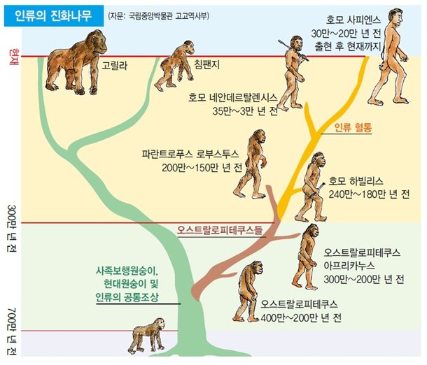 인류 조상 근원, 원숭이 넘어 곤충·세균까지 살펴야 : 네이트 뉴스