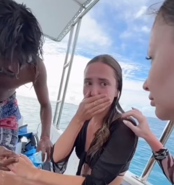 news-p.v1.20250211.3e7f2ab2689945569cc6a