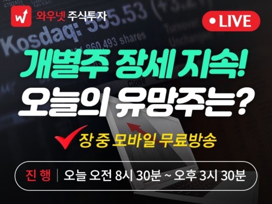 와우넷 공개방송 개별주 장세 지속 오늘의 유망주는 네이트 뉴스