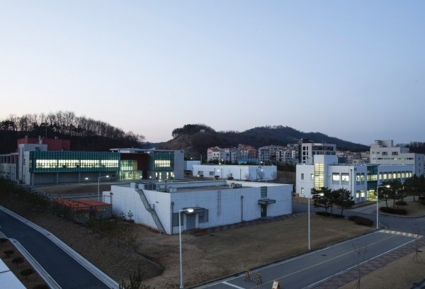 코로나19 치료제백신 개발 위해 영장류 실험 추진 : 네이트 뉴스