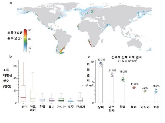 전 세계 해양 녹조·적조 발생 빈도 지난 20년 간 59% 늘었다 : 네이트 뉴스