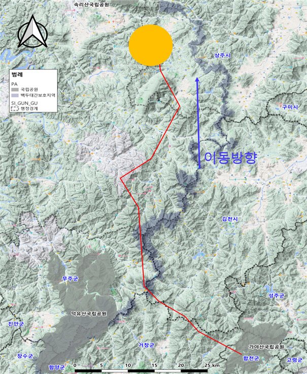 혼자 90㎞ 이동했던 반달가슴곰 KM-53, 이번엔 경남 합천→ 충북 보은으로 이동 : 네이트 뉴스