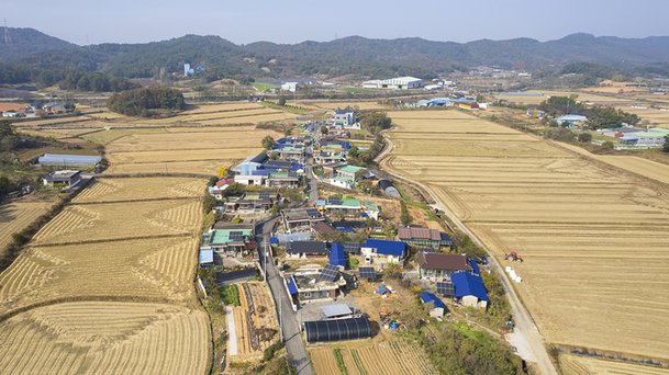 '집단 암' 익산 장점마을, '기억공간' 만지작 : 네이트 뉴스