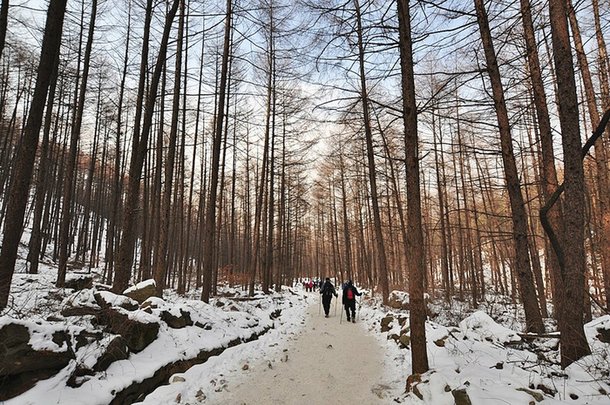 눈꽃 핀 그 산에 가고 싶다…경기도 '아름다운 겨울산' 5곳 소개[주말엔] : 네이트 뉴스