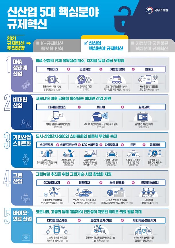 신산업 5대 핵심분야 규제혁신 : 네이트 뉴스