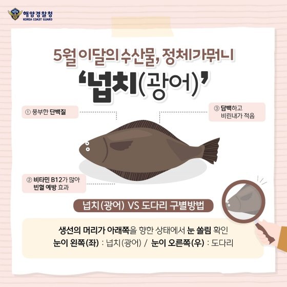 5월의 수산물 '넙치'…효능과 레시피 공개! : 네이트 뉴스